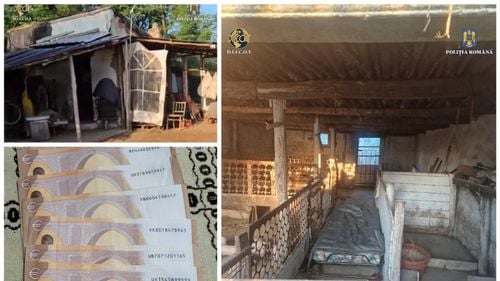 Un bărbat cu probleme psihice ar fi fost ţinut sclav timp de 13 ani la o fermă din Bihor / Proprietarii au fost reţinuţi de procurorii DIICOT