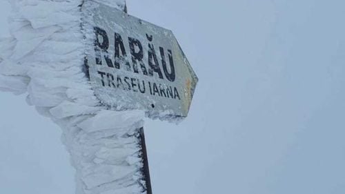 Cod roşu de vânt puternic în zonele monate din Suceava şi Neamţ / Rafalele pot depăşi 145 de kilometri la oră