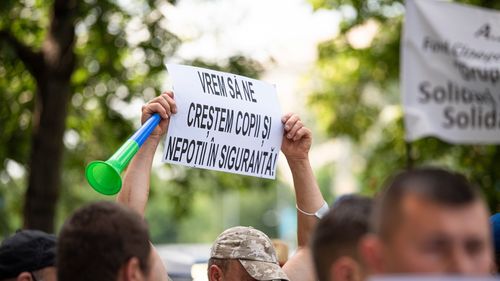 Reprezentanți ai Oierilor de Munte, crescători de bovine sau apicultori, petiție către Guvern pentru limitarea pagubelor făcute de urși/ Proteste au avut loc și în județele Covasna și Harghita: "Viaţă de om sau urs. Decideţi"