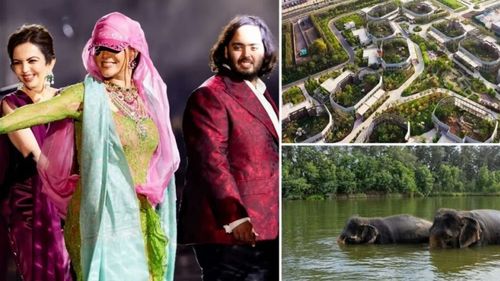 Cea mai mare grădină zoologică privată din lume scapă de suspiciunile de trafic de animale. Fiul celui mai bogat om din Asia și-a construit un parc zoo care se întinde pe o suprafață de patru ori mai mare decât faimosul Central Park din New York