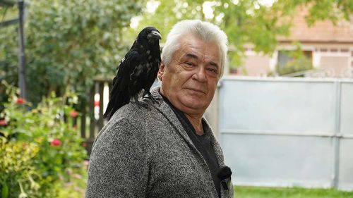 Bihor: Un bărbat din Ineu de Criș nu se desparte deloc de un corb pe care l-a crescut de când era un pui: „O singură dată a plecat şi a lipsit mai mult de jumătate de oră. Am crezut că l-am pierdut. Dar a venit înapoi, țuce-l tata”