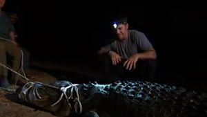 Un renumit expert britanic în crocodili recunoaște că a abuzat sexual zeci de câini