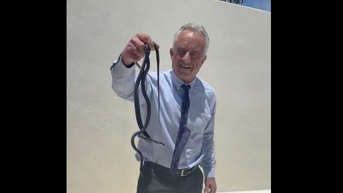 VIDEO Robert F. Kennedy Jr, filmat în timp ce ține doi șerpi în mână / Secretarul Departamentului Sănătății a fost mușcat de un deget / ”Făceau sex. Deci ce erau?”