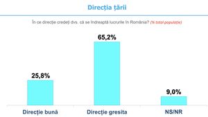 Sondaj INSCOP Ce cred tinerii despre România / 65% cred că lucrurile merg într-o direcție greșită / Doar puțin peste jumătate au un loc de muncă / Mai mult de o treime stau cu părinții și peste 27% se gândesc serios să plece din țară / 58.4% sunt împotriva avortului