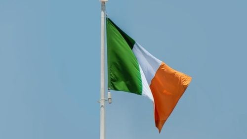 Încep săpăturile la o groapă comună din Irlanda care ar conţine rămăşiţele a aproape 800 de bebeluşi