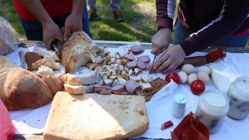 Muzeul Astra cheamă sibienii la cosit: Slană cu ceapă, „la prânzișor, ca în satul de altădată” / ”Și știi ce-i fain? Că ne poți ajuta, de vrei, no!”