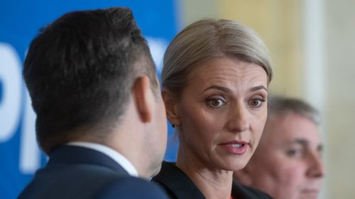 Tomac, acuzații la adresa Ministrului Justiției: „Mi-a spus: «Câte procese trebuie să mai pierzi până vei veni la PNL?»/ Alina Gorghiu: Minciunile sunt greu de acceptat, aștept scuze - Libertatea