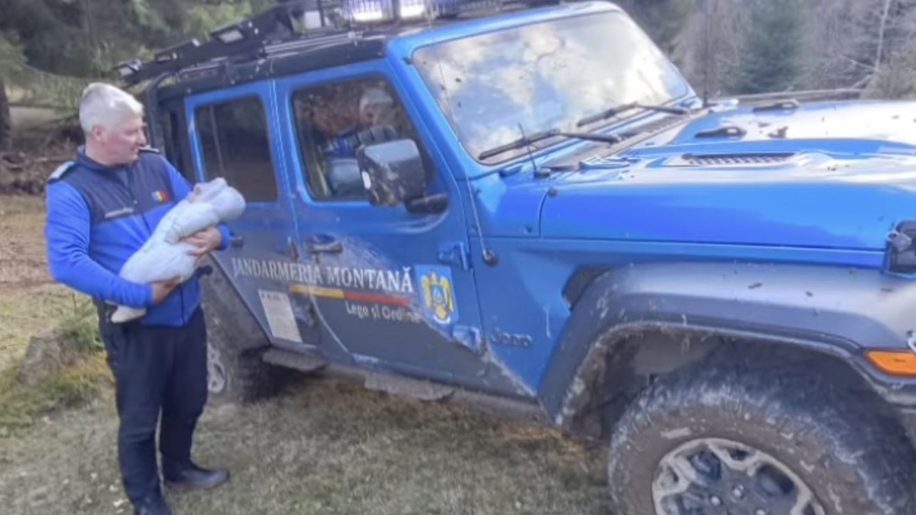 Patru turişti cu un bebeluş, rătăciţi pe un drum izolat de munte, au fost salvaţi de jandarmi