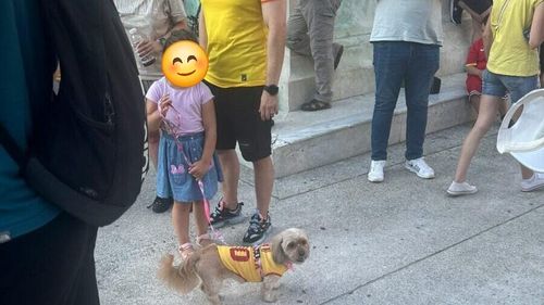 VIDEO Suporterii tricolorilor sărbătoresc victoria la EURO 2024 în Piața Universității