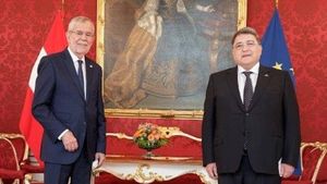 Ambasadorul Hurezeanu, mesaj pentru președintele Austriei: ”România nu face parte nici din traseul migrației ilegale din Balcanii de Vest, nici promotor al migrației ilegale și nici sursă de fluxuri secundare de migrație”