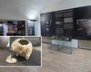 Operație reușită pe creier, veche de 4.500 de ani, în expoziția Muzeului Național al Unirii din Alba Iulia. Craniul trepanat de la Livezile, una dintre cele mai spectaculoase descoperiri preistorice din România. Ce arată studiile antropologice