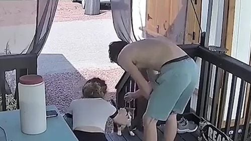 VIDEO Reacția înduioșătoare a unei femei când pisica s-a întors după ce a dispărut șapte zile: „Este visul meu!”