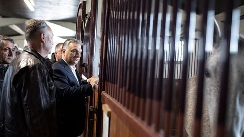 Vizita lui Orban în SUA, precedată de o scrisoare adresată lui Trump, în care regimul e criticat sever. Senatori democrați și republicani: "Democrația din Ungaria s-a erodat în mod semnificativ"