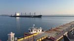 Porturile ucrainene de la Marea Neagră au pierdut o treime din capacitatea de export de cereale în urma atacurilor rusești cu rachete și drone