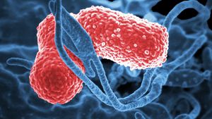 Spitalul de Boli Infecțioase din Iași a accesat un proiect de 13 milioane de euro prin PNRR, pentru combaterea infecțiilor nosocomiale