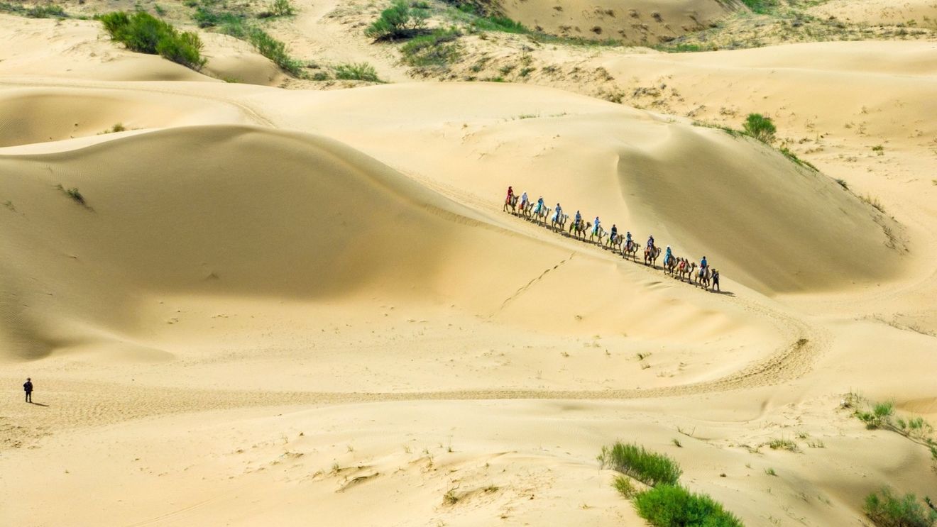 „Marele Zid Verde” al Chinei: un pariu ecologic masiv, dar cu ce preț?