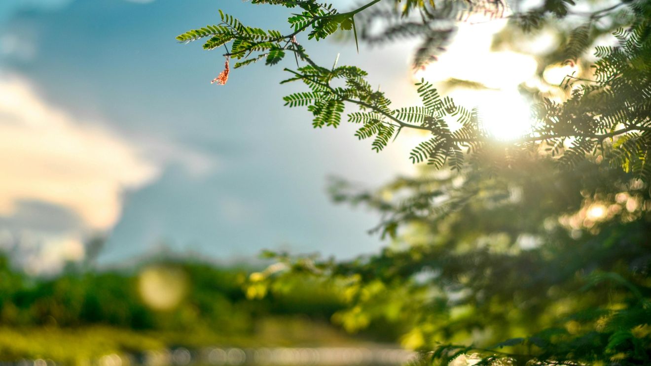 METEO Vreme caldă şi perioade cu averse în următoarele două săptămâni