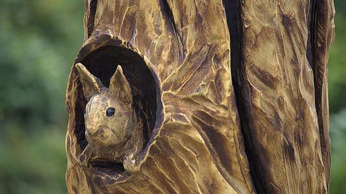 Festivalul Naţional al Sculptorilor cu Drujba la Vaideeni, Vâlcea / ”Am găsit un buştean mare şi mi s-a părut că spune ceva. Am luat drujba şi am început să-l tai şi mi-am făcut un bust”