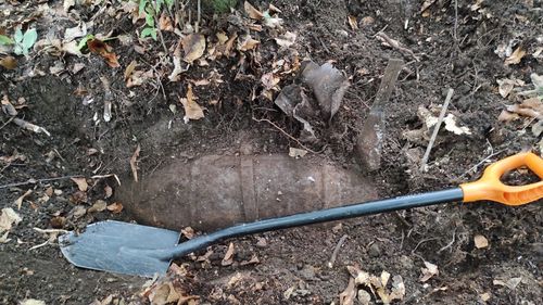 Cluj: Bombă de aviație de 100 de kilograme, din Al Doilea Război Mondial, descoperită în Pădurea Făget