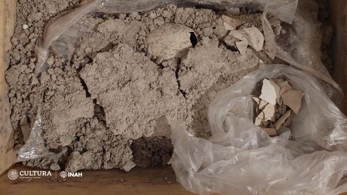 Descoperire rară în Mexic: Un ou străvechi de flamingo, cu o vechime estimată între 8.000 şi 12.000 de ani, găsit pe şantierul unui nou aeroport