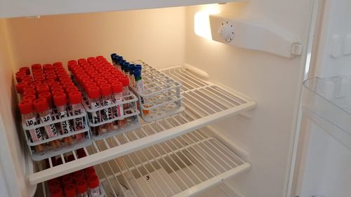 Germania aprobă trei kituri de testare COVID-19 la domiciliu / Și Austria și Marea Britanie mizează pe teste efectuate acasă