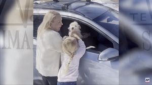 VIDEO „Poveste demnă de Hollywood”: O căţeluşă dată dispărută în California, regăsită în statul Michigan, la 3.770 de kilometri de casă