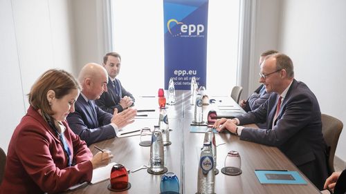 Ilie Bolojan s-a întâlnit cu Friedrich Merz, cel mai probabil viitorul cancelar al Germaniei