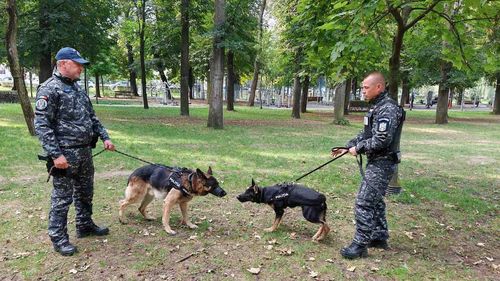 Singurul câine polițist din Transilvania care caută cadavre iese la pensie / Kicsi va fi înlocuit de Paco