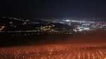Recoltă record pentru ferma clujeană care a aprins în aprilie mii de lumânări pentru a scăpa cireșii de îngheț: aproape 300 de tone de fructe / În 2025, s-au recoltat doar 80 de tone de cireșe