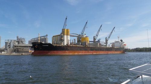 Marinarii ucraineni în grevă pe o navă sosită în portul Constanța au reluat munca după ce şi-au primit salariile