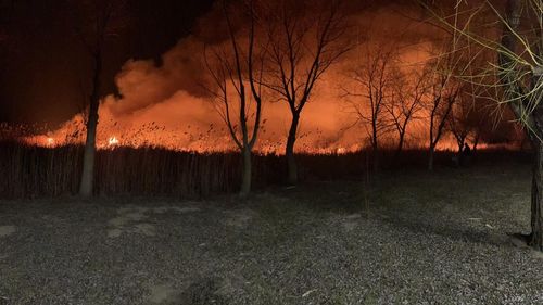 Incendiu pe 30 de hectare de teren în Tulcea