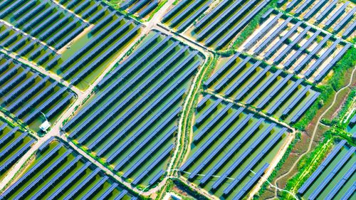 Oraşul sârb Novi Sad va demara o licitaţie pentru construirea unei centrale termice solare de 110 milioane de euro