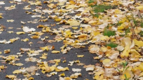 Meteorologii revizuiesc prognoza pentru luna noiembrie: Doar prima săptămână din lună va avea temperaturi peste cele obişnuite