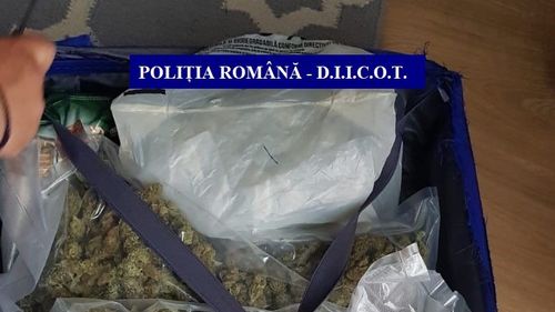 Cluj: Șapte persoane au fost arestate preventiv, în urma perchezițiilor desfășurate vineri, pentru trafic de droguri de risc și de mare risc