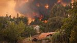 Atenţionare de călătorie a Ministerului de Externe: Italia – cod portocaliu şi galben de incendii de vegetaţie