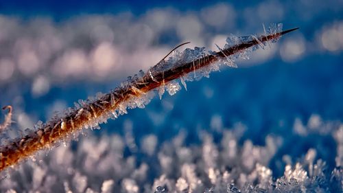 METEO: Cod galben de ninsori şi viscol în şase judeţe şi în Bucureşti, până marţi dimineaţa / Atenţionare de ger în 18 judeţe, până miercuri