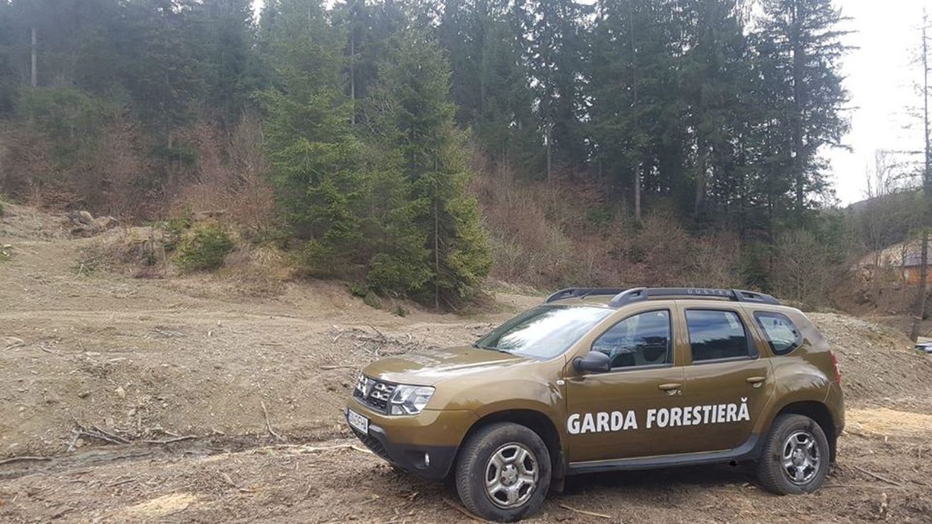 22 de percheziții la Garda Forestieră Suceava și la domiciliile unor persoane fizice într-un dosar de corupție ce vizează funcționari publici cu atribuții de control