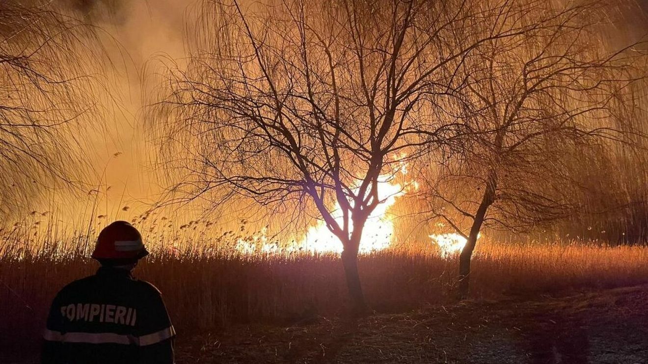 Incendiile de pădure iau amploare pe întreaga planetă