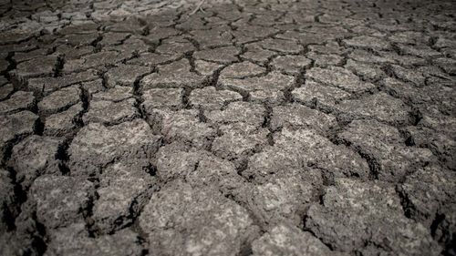 Căldură, secetă, incendii: 2022, un an al dezastrelor climatice în Europa / Temperaturile cresc de două ori mai repede pe continentul european față de media mondială