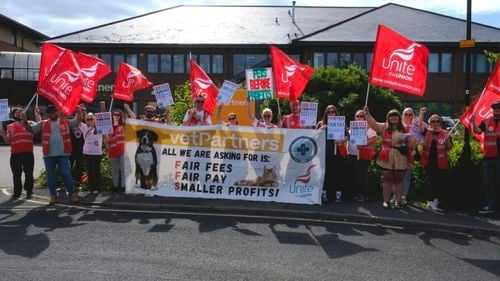 Veterinarii unui mare lanț de cabinete din Marea Britanie prelungesc greva, o premieră în țară  / "Oamenii își eutanasiază animalele pentru că nu își permit taxele pentru tratamente"