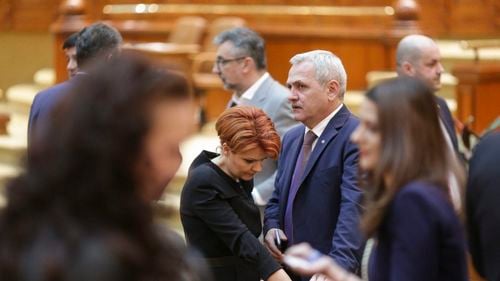 Olguţa Vasilescu: Liviu Dragnea pleacă cu prima şansă de a deveni candidat al PSD la prezidenţiale
