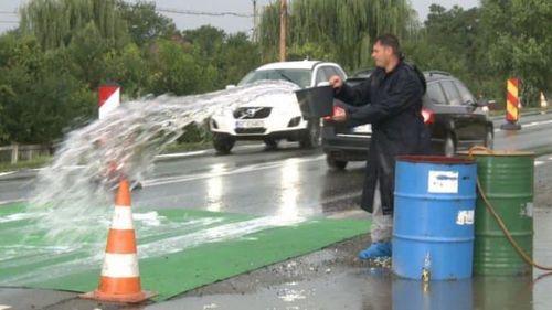 România Furată: Cine câștigă din afacerea dezinfectanților pentru combaterea pestei porcine