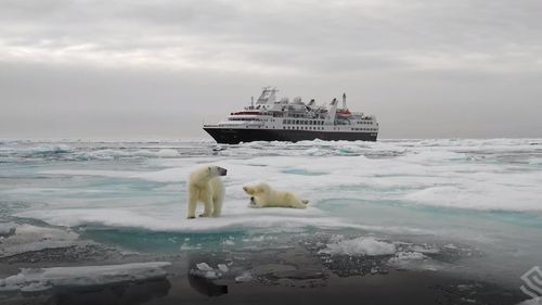 Marea Laptev, una dintre principalele surse de gheaţă ale Oceanului Artic, întârzie să îngheţe, pentru prima dată în istorie