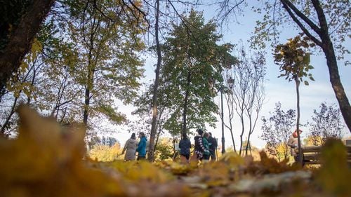 Bucureşti, capitala europeană fără un registru al Spaţiilor Verzi. Nicuşor Dan: "Probabil în doi ani şi jumătate, trei, el va fi parte componentă a Planului Urbanistic General (PUG)". Care sunt riscurile