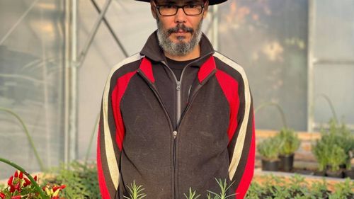 VIDEO Cum se poate face agricultură de nișă, pe 350 de metri pătrați. Florian Hada a lăsat catedra pentru a cultiva plante aromatice și legume sănătoase