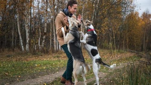 Meseria de îngrijitor de câini a devenit legală în România. INTERVIU cu Radu, tânărul care transformă pasiunea pentru animale în carieră: „Munca mea capătă valoare”