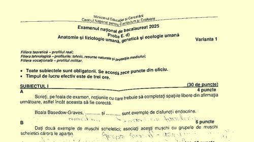 Subiecte Biologie – Anatomie umană BAC 2025