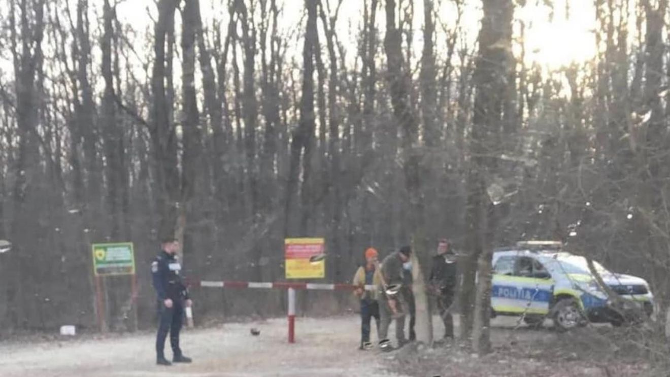 UPDATE Clotilde Armand: Blocarea accesului locuitorilor în complexul Greenfield, o măsură greşită. Solicit Romsilva să deblocheze urgent drumul/ Romsilva a cerut în mai multe rânduri PS1 și PMB să preia drumul forestier închis