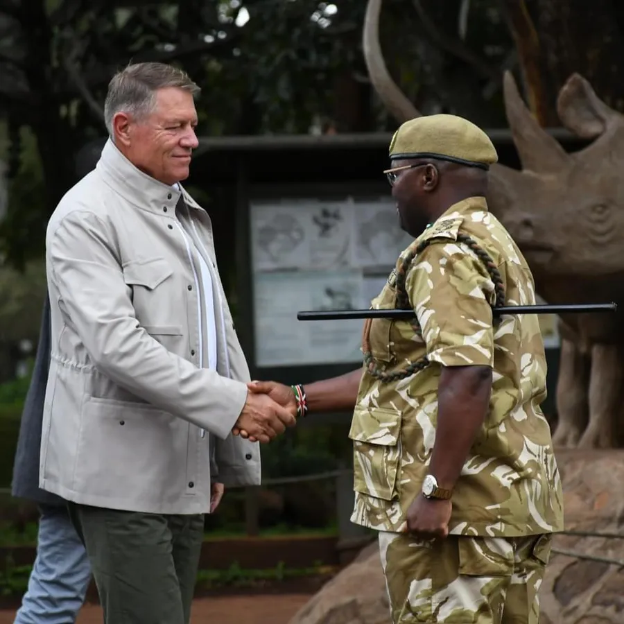 iohannis, kenya, safari, africa