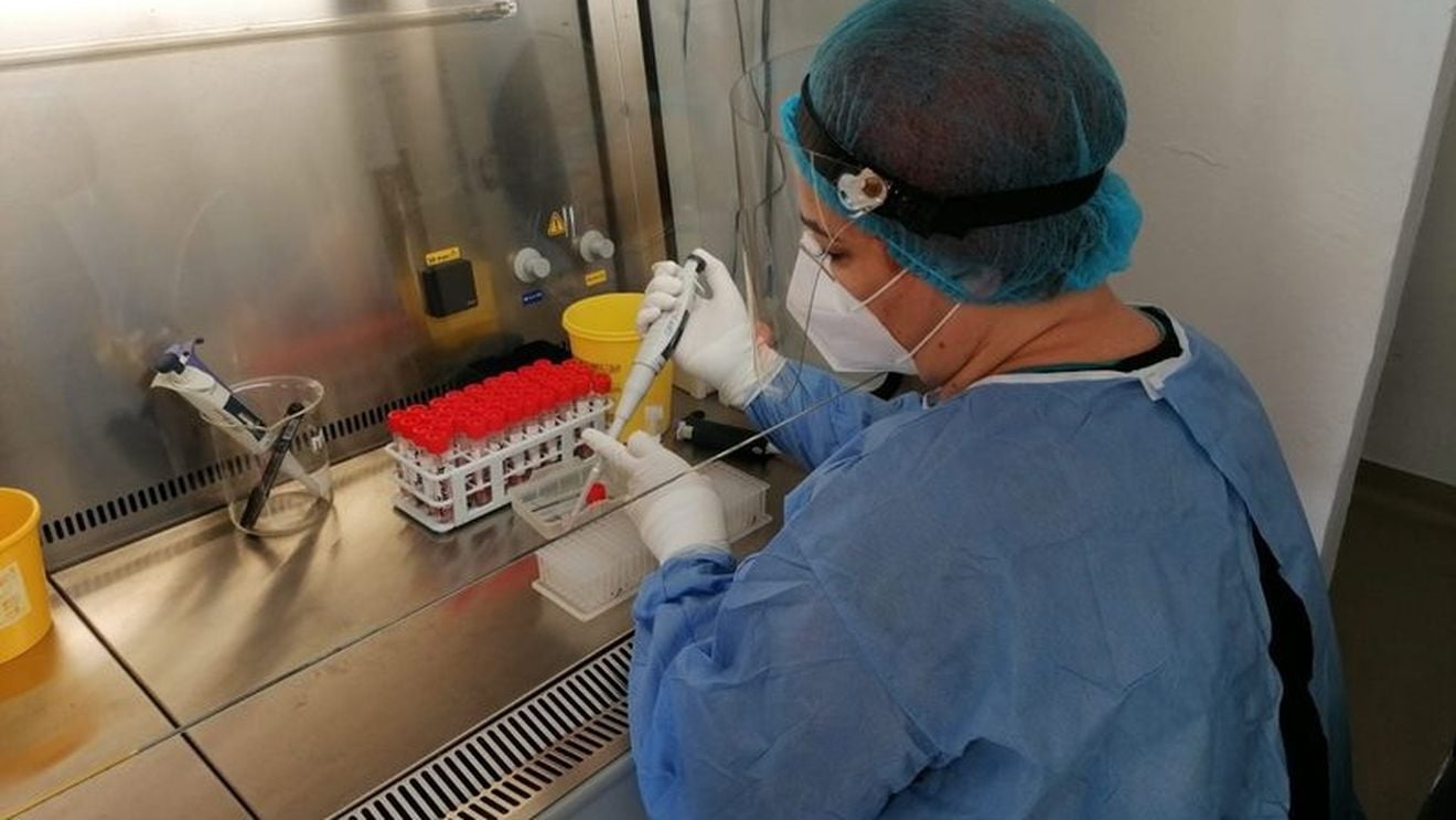 Peste 1600 de cazuri noi de infecții cu Covid-19, înregistrate în ultimele 24 de ore / Au fost efectuate e 7.791 teste RT-PCR pentru depistarea bolii